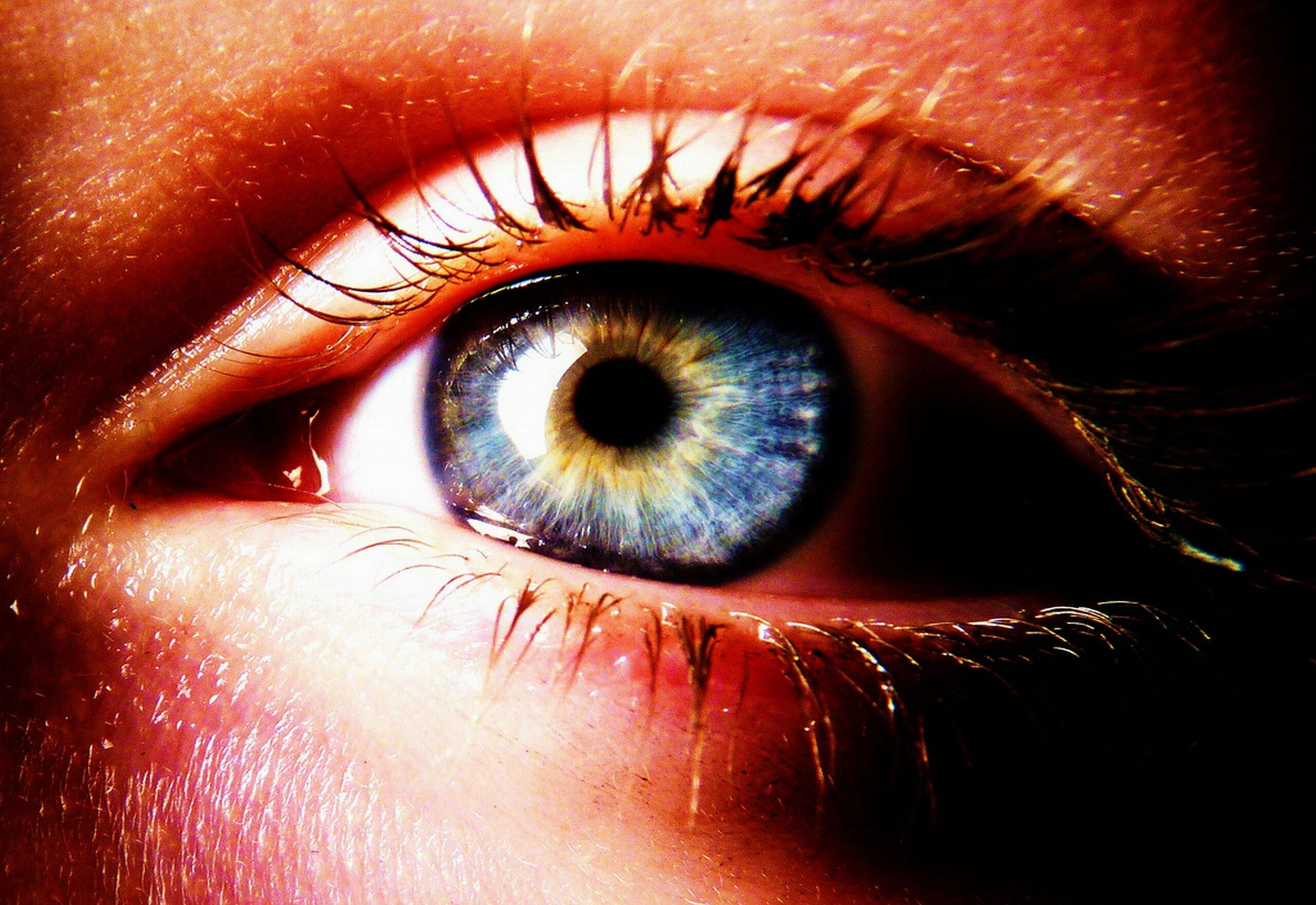 A close-up shot of surreal eye makeup featuring colorful splashes and intricate designs.